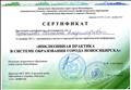 Сертификат
"Инклюзивная практика в системе образования города Новосибирска"
2017г.